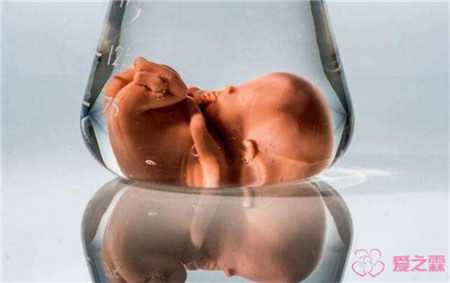 贡嘎县供卵代孕生子,大龄二胎风险高HRCFertility试管助优生-做试管可以吃薏米不
