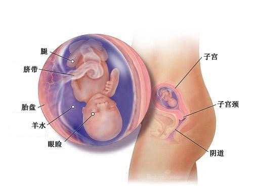 武汉试管婴儿哪家好_武汉试管代孕的好处_辅助生殖机构：白带异常的危害有哪