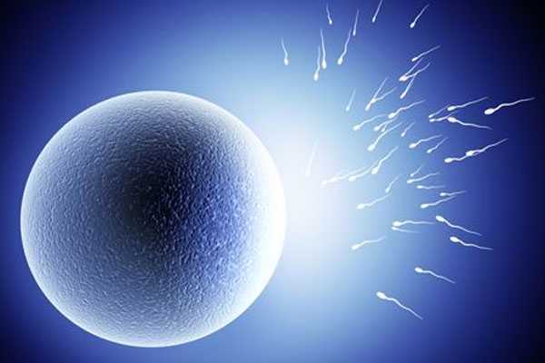 徽州区38岁供卵试管婴儿的成功率_试管婴儿是自己老公的精子吗