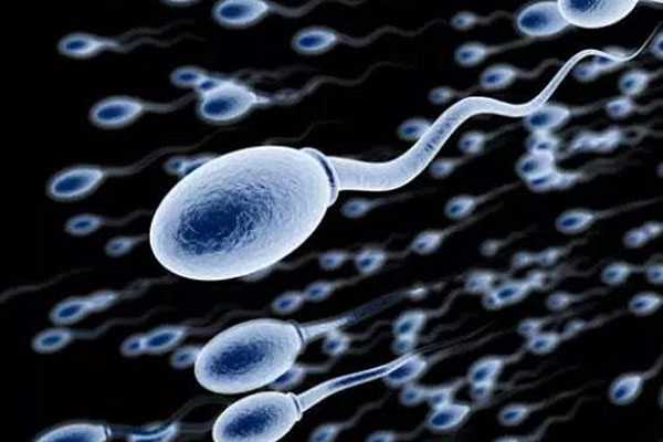 徽州区38岁供卵试管婴儿的成功率_试管婴儿是自己老公的精子吗