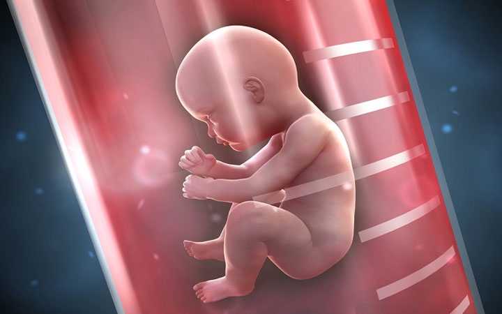 化州市有做代妈的大学生吗_试管婴儿胚胎移植时间是固定哪天吗