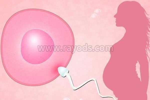 白沙黎族自治县专业代孕网_试管婴儿取出的卵子有哪几种情况呢？产生的原因