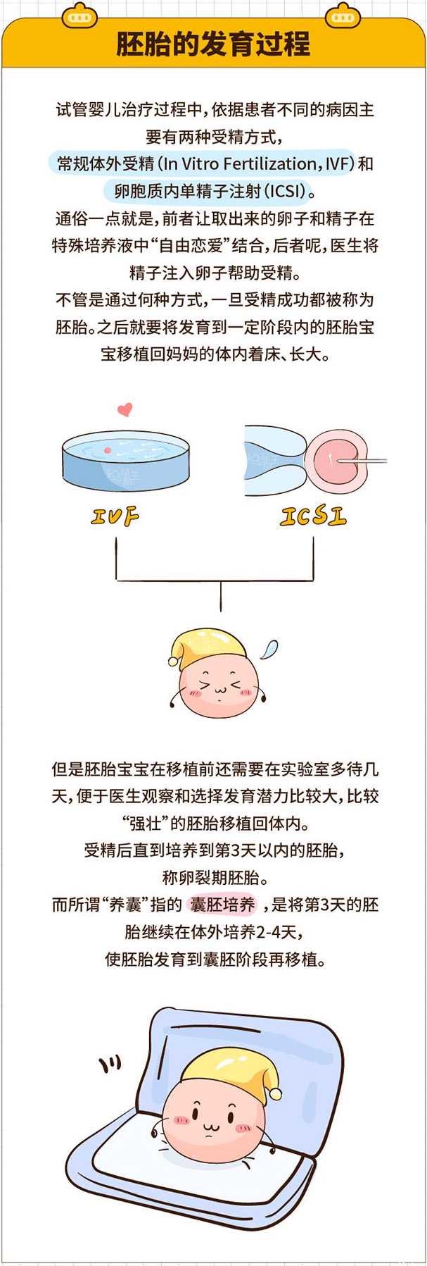 淮北找过代孕吗_试管婴儿胚胎发育过程是怎样的
