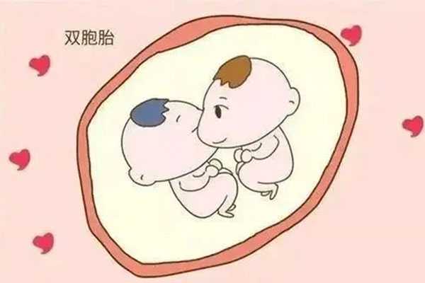 东光县代孕最佳年龄_东光县哪里有招代孕的_试管双胎什么时候减胎