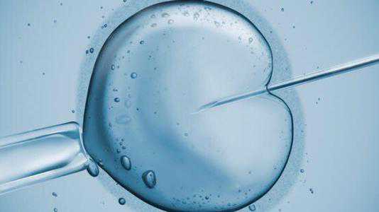 洛龙区代孕产子公司代孕套餐_洛龙区代孕医院价格_高龄试管自然周期取卵成功