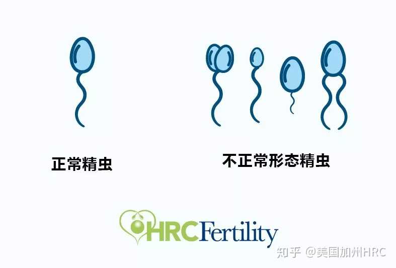 武汉试管有用吗,武汉协和医院可以做供卵试管婴儿吗?